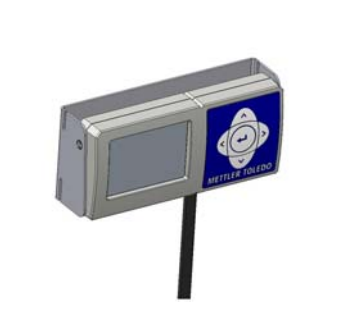 Scale Display - Customer Facing